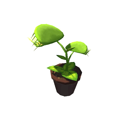 Venus Flytrap